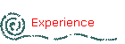 Experience