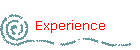 Experience